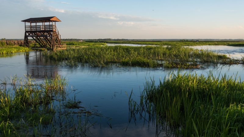 TOP5 polskich parków narodowych
